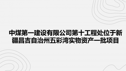 中煤第一建设有限公司第十工程处位于新疆昌吉自治州五彩湾实物资产一批项目