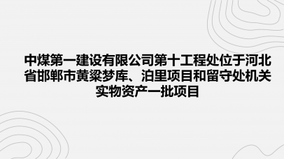 中煤第一建设有限公司第十工程处位于河北省邯郸市黄粱梦库、泊里项目和留守处机关实物资产一批项目