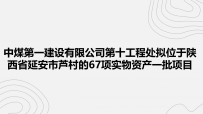 中煤第一建设有限公司第十工程处拟位于陕西省延安市芦村的67项实物资产一批项目