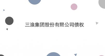 三浪集团股份有限公司债权