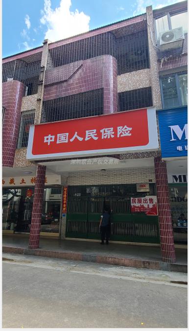广东省梅州市梅县华侨城香港花园别墅式商住楼4号房产