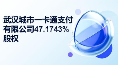 武汉城市一卡通支付有限公司47.1743%股权