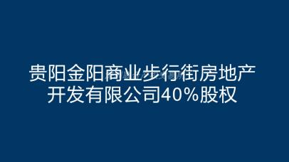 贵阳金阳商业步行街房地产开发有限公司40%股权