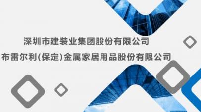 布雷尔利（保定）金属家居用品股份有限公司105.263万股股份