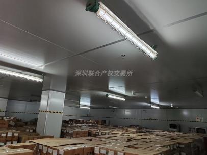 一批闲置存货（C）