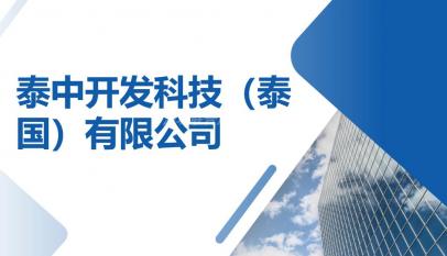泰中开发科技（泰国）有限公司60%股权