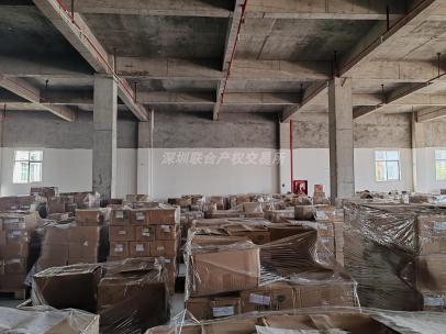 一批闲置存货（A1）