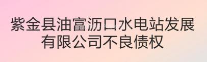 紫金县油富沥口水电站发展有限公司不良债权