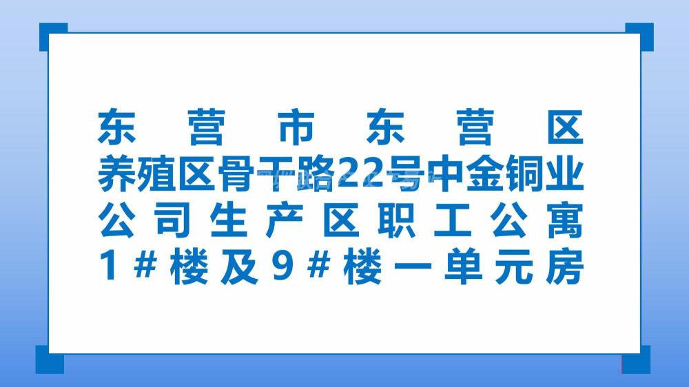 东营市东营区养殖区骨干路22号中金铜业公司生产区职工公寓1#楼及9#楼一单元房租赁项目
