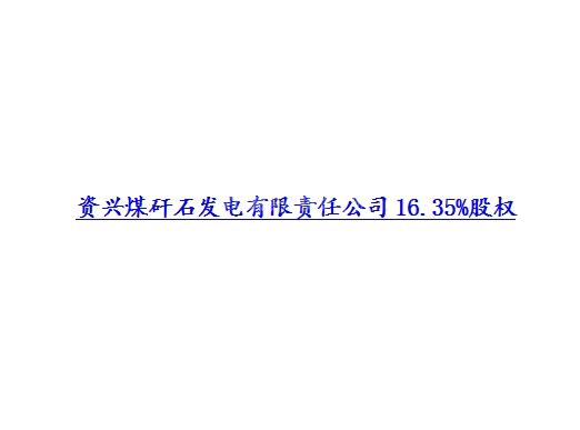 资兴煤矸石发电有限责任公司16.35%股权