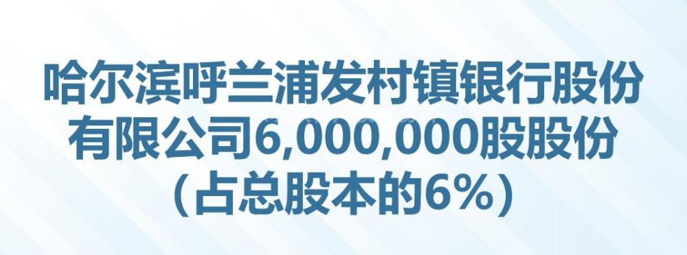 哈尔滨呼兰浦发村镇银行股份有限公司6,000,000股股份（占总股本的6%）