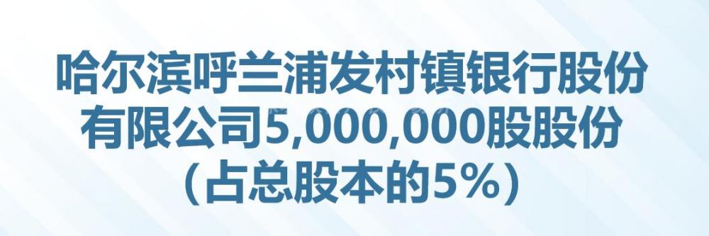 哈尔滨呼兰浦发村镇银行股份有限公司5,000,000股股份（占总股本的5%）