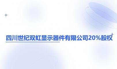 四川世纪双虹显示器件有限公司20%股权