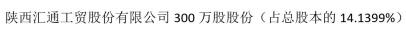 [咸阳市]陕西汇通工贸股份有限公司300万股股份（占总股本的14.1399%）