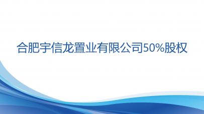 合肥宇信龙置业有限公司50%股权