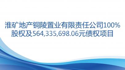 淮矿地产铜陵置业有限责任公司100%股权及564,335,698.06元债权项目