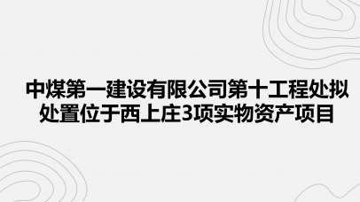 中煤第一建设有限公司第十工程处拟处置部分实物资产七批项目（分零）
