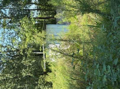 4c6fade6-cbb0-46a4-974b-8311cae0e390.png_r_0_w_406