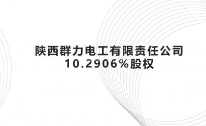 陕西群力电工有限责任公司10.2906%股权