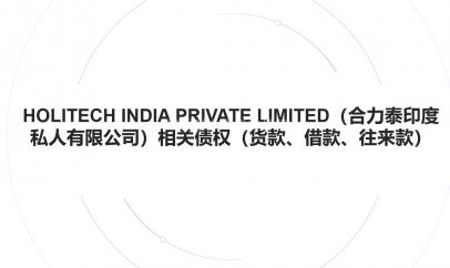 HOLITECH INDIA PRIVATE LIMITED（合力泰印度私人有限公司）相关债权（货款、借款、往来款）