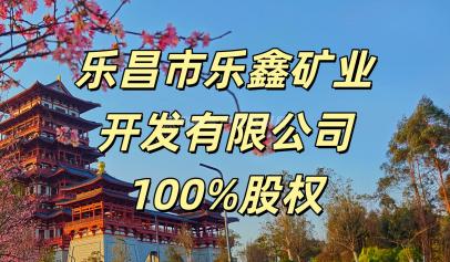 乐昌市乐鑫矿业开发有限公司100%股权
