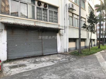 中山市石岐区东明路东明花园东顺街28号（文体中心底层车库）