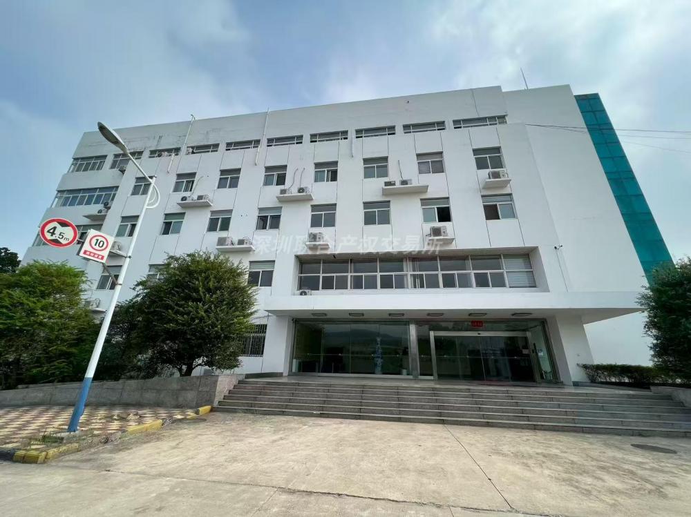 河南省洛阳市偃师区城关镇北环路北侧的房屋建(构)筑物及土地使用权