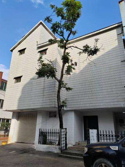 海口市秀英区东方洋开发区丘海一横路6号C栋