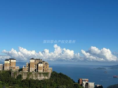 深圳市盐田区东部华侨城天麓八区25栋01、02房产