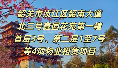 [韶关市]韶关市浈江区韶南大道北三号鑫园花苑第一幢首层3号、第二层1至7号等4项物业租赁项目