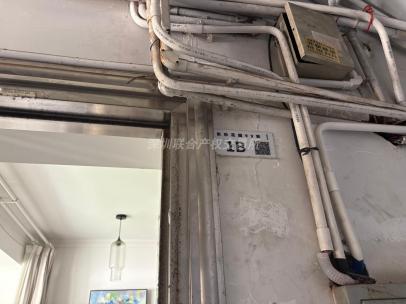 深圳市罗湖区东乐花园99栋1-B等5套房产