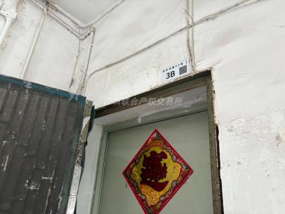 深圳市罗湖区东乐花园99栋1-B等5套房产