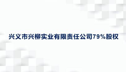 兴义市兴柳实业有限责任公司79%股权