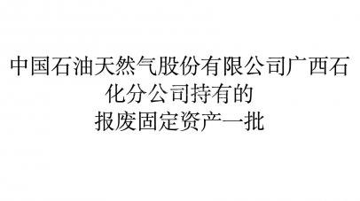 中国石油天然气股份有限公司广西石化分公司持有的报废固定资产一批