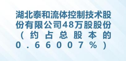 湖北泰和流体控制技术股份有限公司48万股股份（约占总股本的0.66007%）