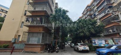 [深圳市]深圳市南山区蛇口新街滨海苑4栋102