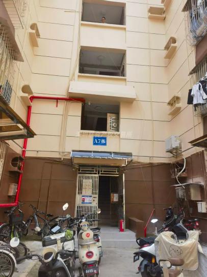 深圳市南山区蛇口步行街南水小区A7栋6C