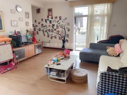 深圳市南山区蛇口步行街南水小区A7栋5D