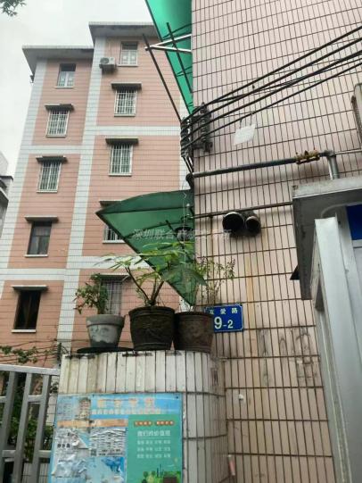 广州市越秀区华侨新村友爱路9号之二202房