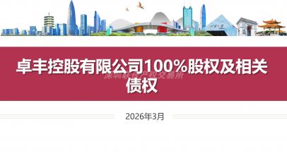 卓丰控股有限公司100%股权及相关债权