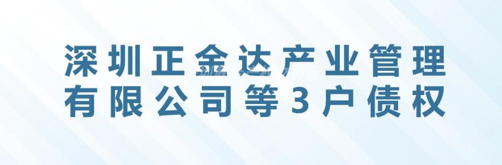 [深圳市]深圳正金达产业管理有限公司等3户债权